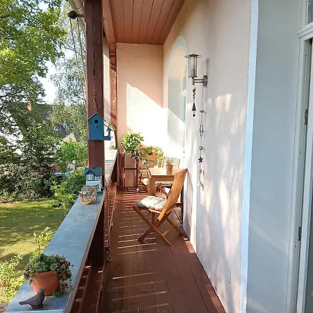 Baumwipfel Rückersdorf