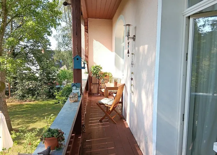 Baumwipfel Rückersdorf