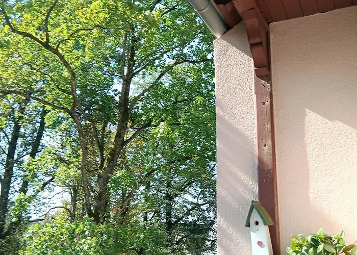 Baumwipfel Apartment Rückersdorf