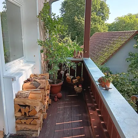 Baumwipfel Apartment