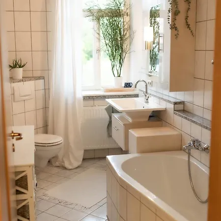 Baumwipfel *