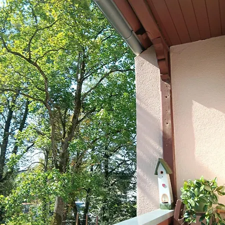 Baumwipfel Apartment Ruckersdorf (Bavaria)